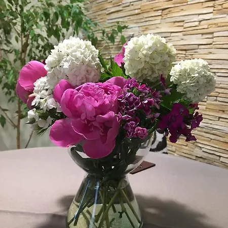 בראשוב Poarta Ecaterina Residence מראה חיצוני תמונה