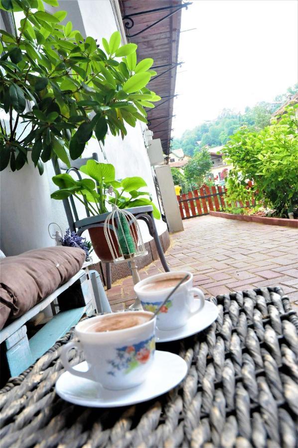 Poarta Ecaterina Apartment Brasov