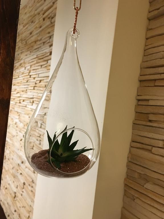 Poarta Ecaterina Appartement